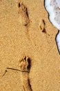 Footprint of the child on the sand on the beach